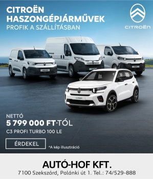 Skandinav Citroen